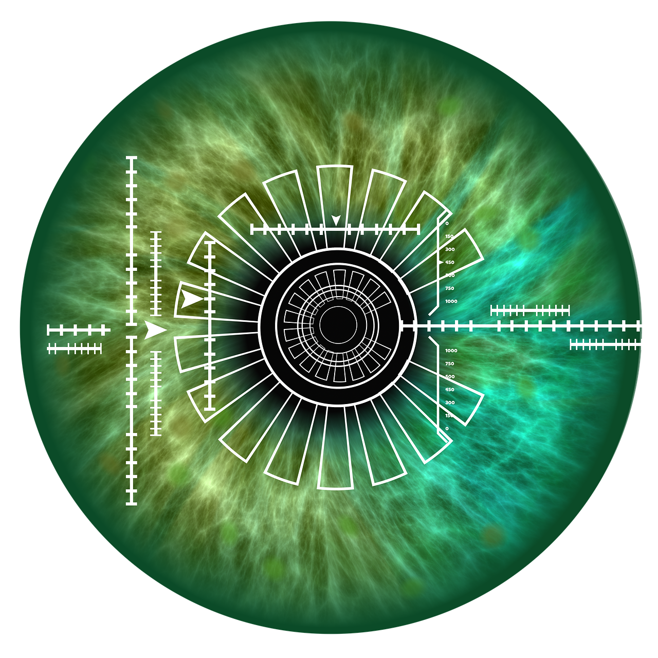 templatemo home icon 3